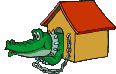 crocodile